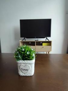 una pianta in vaso seduta su un tavolo di fronte a una TV di Kuching Luxurious Town Area Apartment a Kuching
