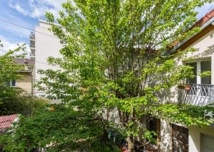 a tree in front of a building at 204.Mezzanine#4Pers#Malakoff in Malakoff
