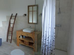 a bathroom with a sink and a mirror and a shower at La Grange de Bois de Chêne in Phalsbourg