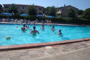 eine Gruppe von Personen, die in einem Schwimmbad schwimmen in der Unterkunft Albergo Di Murlo in Murlo