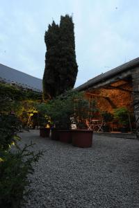 a tree sitting next to a building with potted plants at La Goëlette in Saint-Suliac