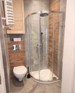 a shower stall in a bathroom with a toilet at Rynek 10 in Poznań