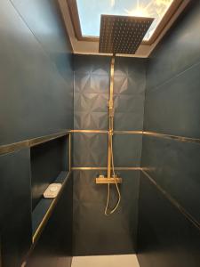 La salle de bains est pourvue d'une douche au plafond. dans l'établissement Blue Haven Sèvres, à Sèvres