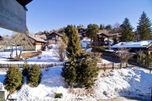 Joli appartement ensoleillé à Vercorin talvel