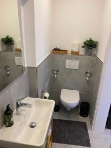 La salle de bains est pourvue d'un lavabo et de toilettes. dans l'établissement Ferienwohnung Schleifnest, à Heppenheim