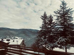 a view of two pine trees in the snow at APARTAMENT LA MOLINA ( ELS CIRERES ) in Alp