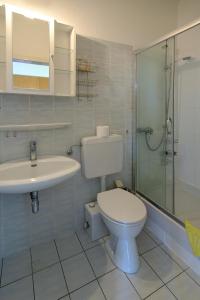 ein Bad mit einem WC, einem Waschbecken und einer Dusche in der Unterkunft Haus Erika in Bad Sooden-Allendorf
