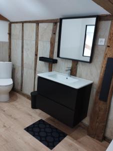 ein Bad mit einem Waschbecken und einem WC in der Unterkunft La Coquille in Pouillon