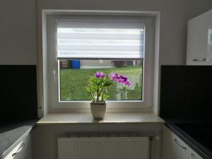 una ventana en una cocina con un jarrón con flores púrpuras en Ferienwohnung Schneckenhaus, en Ofterdingen