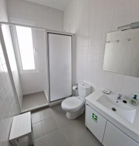 een witte badkamer met een toilet en een wastafel bij Funchal Downtown Flats 2 in Funchal