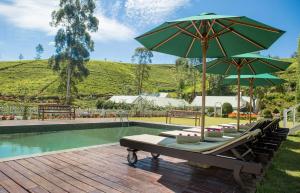Bazén v ubytování Langdale Boutique Hotel by Amaya nebo v jeho okolí