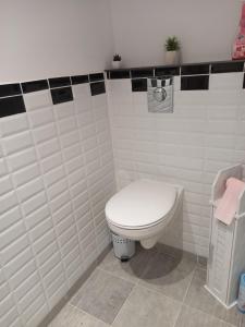 Gîte LA FONTAINE DU MARAIS في Pendé: حمام مع مرحاض أبيض في الغرفة