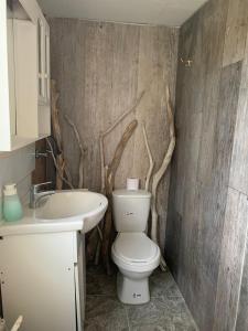 a bathroom with a toilet and a sink at Tiny House, Cabaña in Coihaique