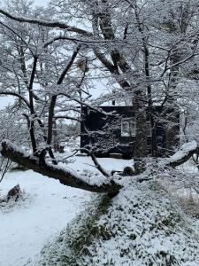 a tree is covered in snow next to a house at Tiny House, Cabaña in Coihaique