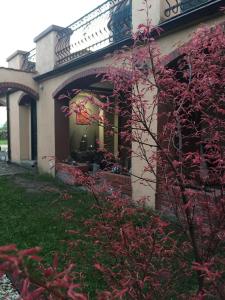 SierakowiceにあるDom wypoczynkowy na Kaszubach o niezwyklym klimacieの赤い葉の家