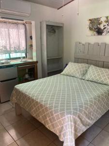 1 dormitorio con 1 cama y lavamanos. en Caribbean Comfort, en Puerto Viejo