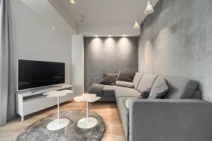 salon z kanapą i telewizorem w obiekcie Apartamenty MUNN 6 Szczecin w Szczecinie +12 zdjęć