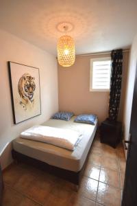 a bedroom with a bed and a picture of a tiger at La bulle bleue - Coeur de St Gilles les bains in Filaos