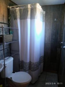 y baño con cortina de ducha y aseo. en Azul y Verde B&B en Ancud