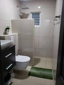 biała łazienka z toaletą i prysznicem w obiekcie CG Apartment - Turtuga w mieście Willemstad