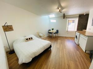 Photo de la galerie de l'établissement Les studios de Morgane hyper centre, à Valence