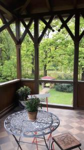 une véranda avec une table et des plantes en pot dans l'établissement Romantische Ferienwohnung im Herrenhaus Wüstenhain Spreewald, à Vetschau/Spreewald