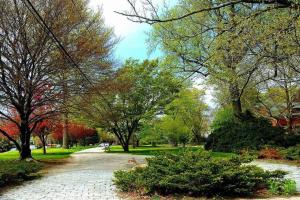 a walkway in a park with trees and bushes at Urban Oasis in Hope Village in Providence