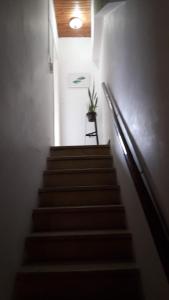 Una escalera con una maceta encima. en Doña Rita departamentos en Villa María