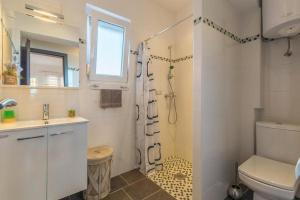 uma casa de banho com um chuveiro, um WC e um lavatório. em Apartment David em Novigrad Istria