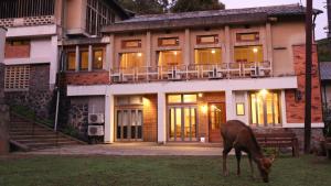 a deer grazing in front of a house at Mountain Home Lodge in Deer Park in Nara