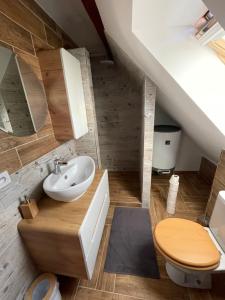 un bagno con lavandino e WC di Ubytování U Synagogy Dobříš a Dobříš Altre 37 foto