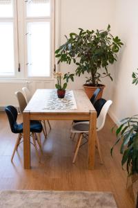 een eettafel met stoelen en een potplant bij Central Szeged Apartment in Szeged