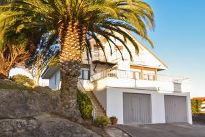 una palmera frente a una casa blanca en Amplio y cómodo chalet en Ajo con preciosas vistas en Ajo