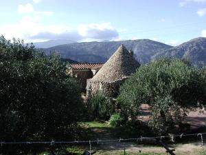 a house with a thatched roof and trees and mountains at Casa in campagna in Dorgali
