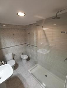 y baño con aseo, ducha y lavamanos. en El refugio de Torrijos, en Málaga