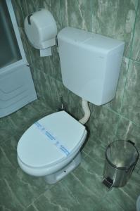 a bathroom with a white toilet and a trash can at Hotel Brod Panini Veles in Veles