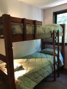 two bunk beds in a room with a window at Lapacho Hostel Salta Coliving in Salta