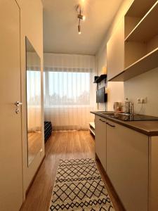 eine Küche mit einer Spüle und einer Arbeitsplatte in der Unterkunft Savi Apartment in Pärnu