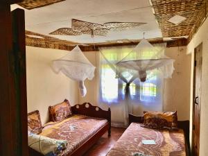 1 Schlafzimmer mit 2 Betten und einem Fenster mit Vorhängen in der Unterkunft Machame Homestay and Cultural Tourism in Machame
