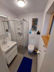 a bathroom with a shower and a toilet and a sink at Haus Ströhle in Schruns