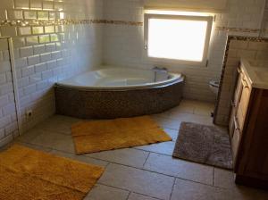 Koupelna v ubytování Hauts de st pierre 3 chambres belle terrasse climatisation + 47 fotografií