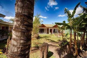a palm tree in front of a house at CHEZ MARIA GORETTI HOTEL in Hanga Roa