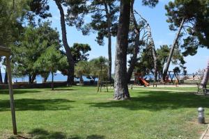 Příroda nedaleko penzionu