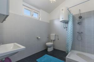 łazienka z toaletą, umywalką i prysznicem w obiekcie Holiday Home Bianca w mieście Novigrad +32 zdjęcia