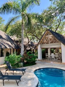 a villa with a swimming pool and a palm tree at Pamarah Lodge in Victoria Falls