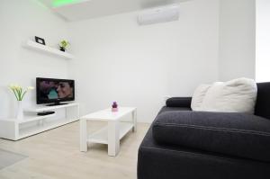 TV a/nebo společenská místnost v ubytování Apartment Borovac