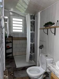 a bathroom with a toilet and a shower and a sink at Chalet de Bérènice in Saint-Joseph