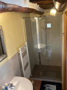 a bathroom with a shower and a white sink at Casa de Alguaztar in Bubión