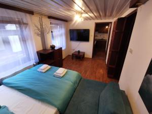 a bedroom with a bed and a couch and a television at Cosy Lake in Kranjska Gora