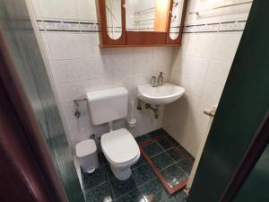 um pequeno banheiro com um vaso sanitário e uma pia em Cosy Lake em Kranjska Gora mais 11 fotografias